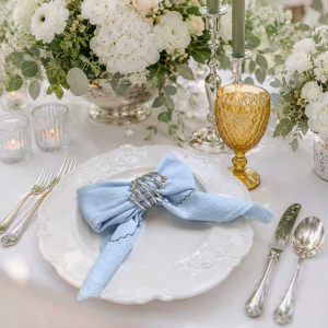 commercial grade light pink cloth placemats | high traffic hotel & restaurant table linens